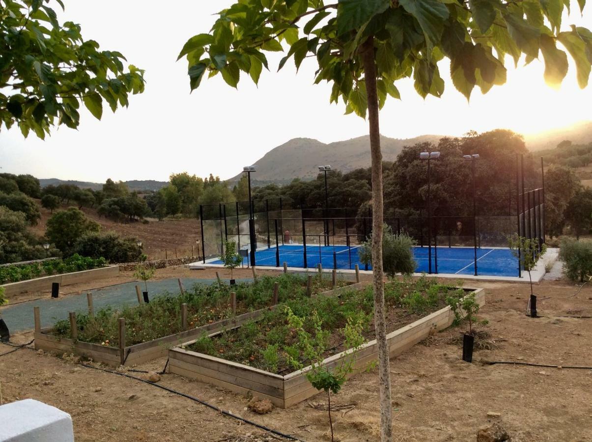 Santa Marta Complejo Rural Con Pista De Padel Casa de hóspedes Archidona Exterior foto